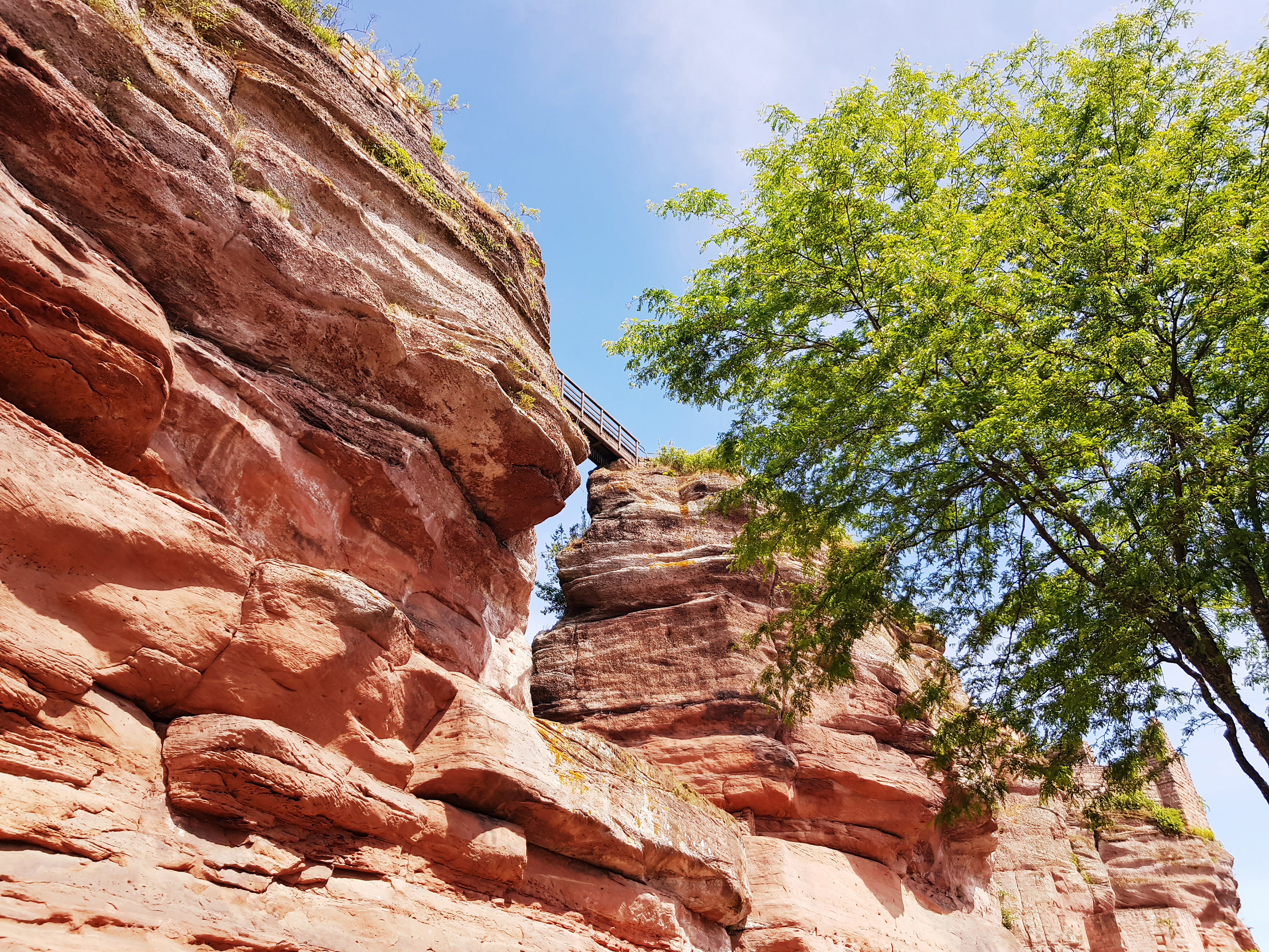 Château du Haut-Barr Saverne